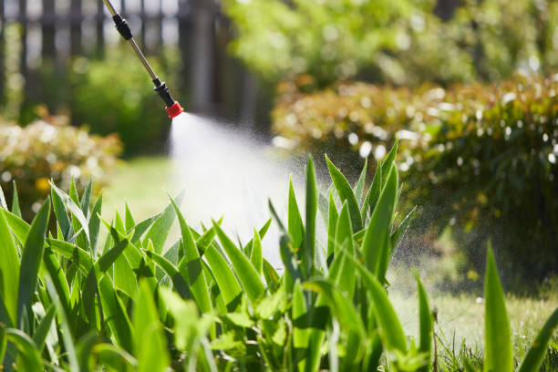 24/7 Emergency Mosquito Control experts in Masonville, KY
